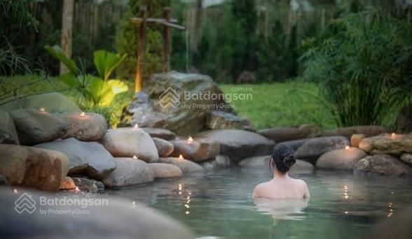 Căn hộ khoáng nóng tự nhiên bên đại lộ cảnh quan sông hồng alumi  alluvia city với giá cực tốt