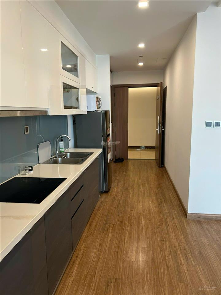 Cho thuê cc tại vinhomes metropolis  liễu giai, 25 triệu, 80 m2, chỉ với giá tốt