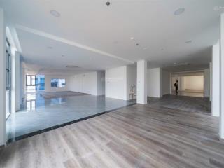 Building 8 tầng nguyễn văn thủ, quận 1 ngang 35m | 900m² đất | dòng tiền 8,4 tỷ/năm | giá 499 tỷ