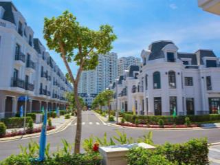 Bán nhà phố 39 đường số 2 (th2.20), amelie villa phú mỹ hưng, 14,1 tỷ, 125,6 m2