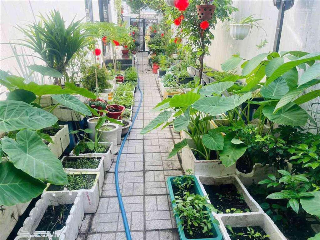 Nhà vườn 160m2  đủ chỗ cho cả gia đình "chill" cuối tuần!
