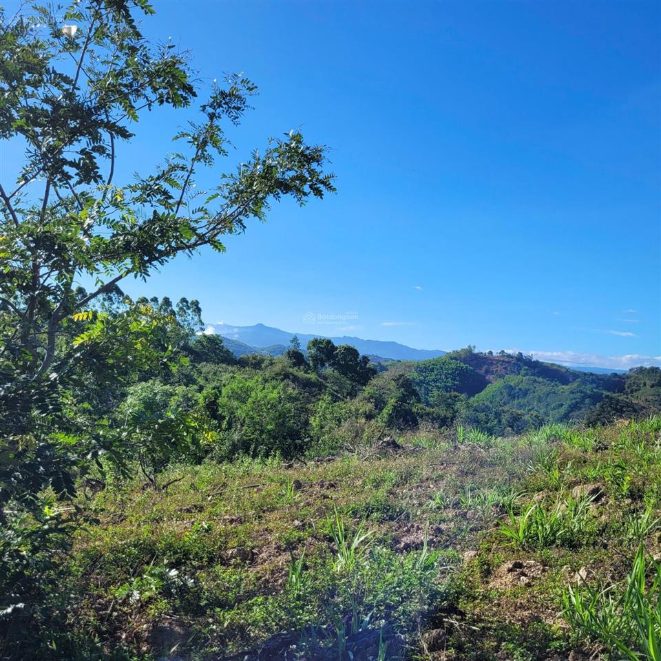499 tr  5 sào đất cln (5,000 m2) cách ql 27 10 phút đi xe