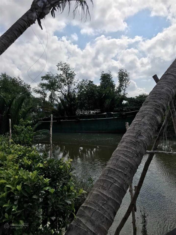 Bán đất 128.6m2, gần sông, ngay quốc lộ 50, ngang 7.8m dài 16.5m