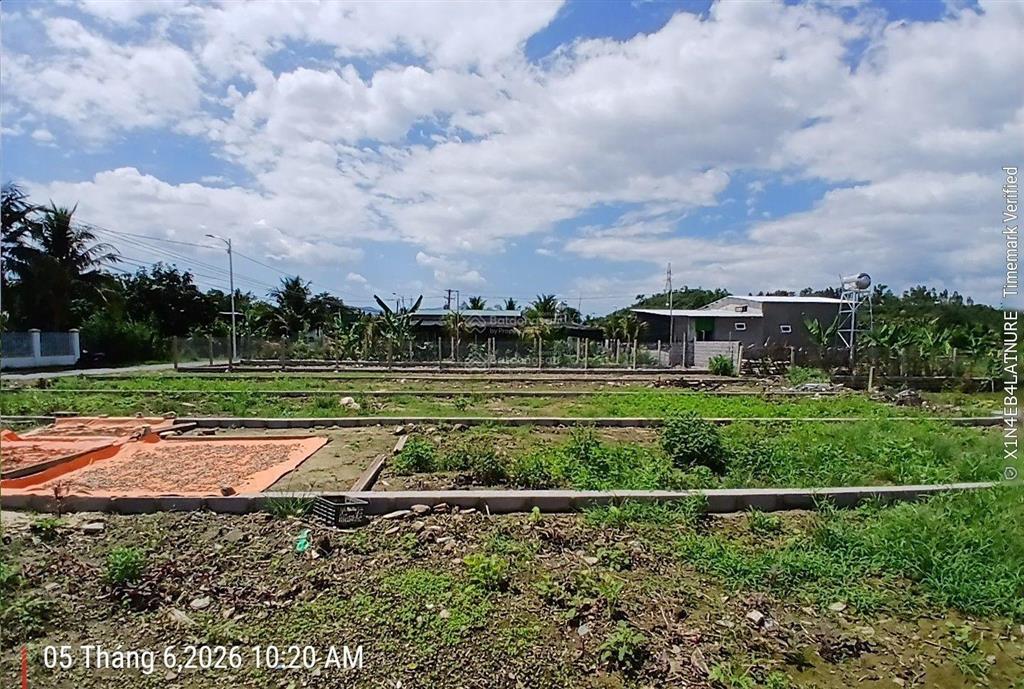 Bán đất nền  đường tư văn  ngay thị trấn diên khánh  khánh hòa. vị trí đẹp. giá chuẩn