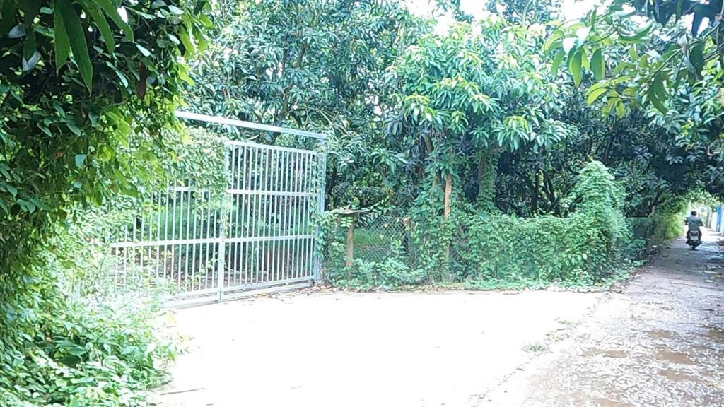 Bán nhà vườn mặt sông tiền, diện tích 8300m2