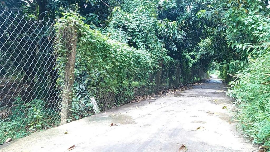 Bán nhà vườn mặt sông tiền, diện tích 8300m2