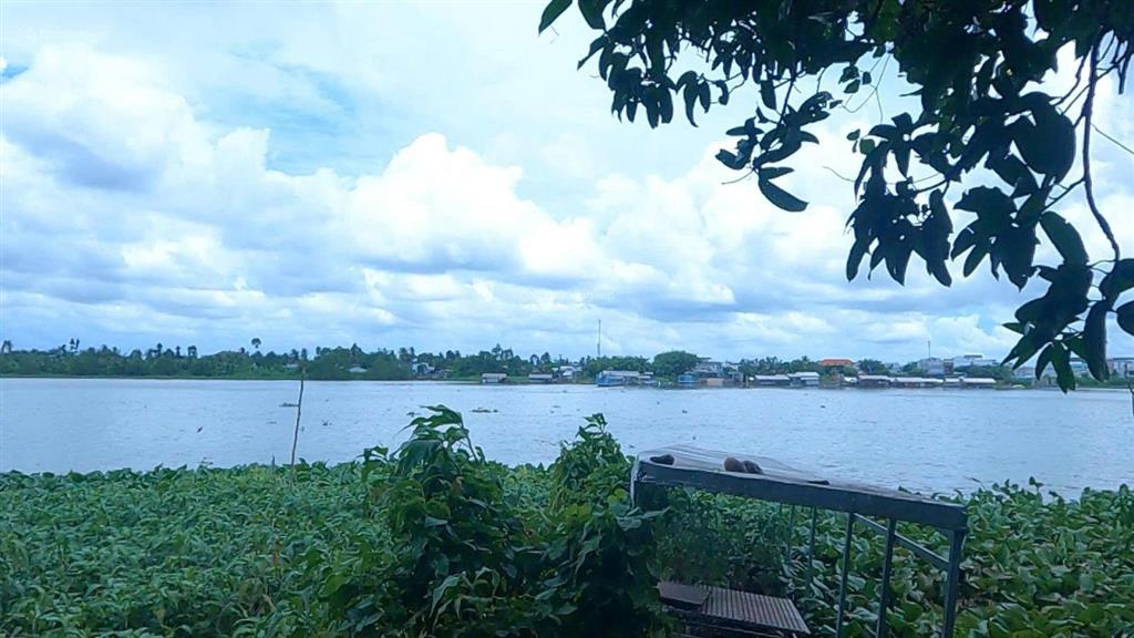 Bán nhà vườn mặt sông tiền, diện tích 8300m2