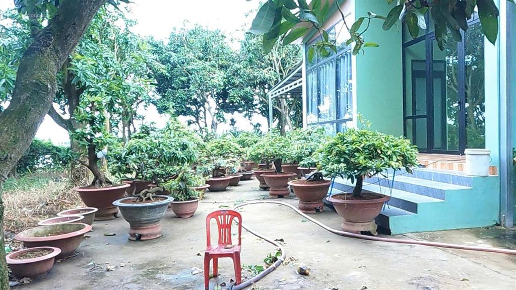 Bán nhà vườn mặt sông tiền, diện tích 8300m2