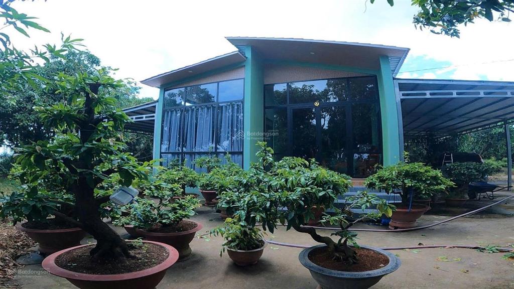 Bán nhà vườn mặt sông tiền, diện tích 8300m2