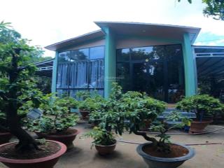 Bán nhà vườn mặt sông tiền, diện tích 8300m2