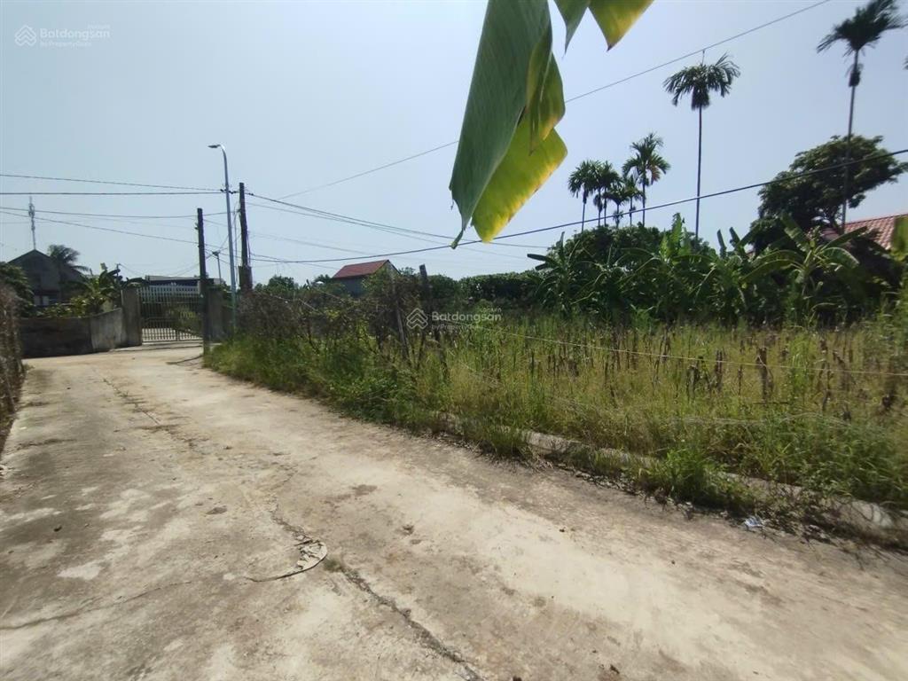 Kcn tràng duệ 3 chính chủ cần thanh khoản gấp, đừng để lỡ cơ hội khi giá đất tăng rồi mới tìm kiếm