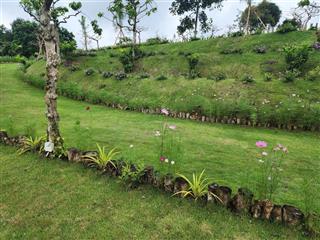 Cần bán đất nghỉ dưỡng view hồ di linh, lâm đồng, sẵn sổ, giá thiện chí đầu tư