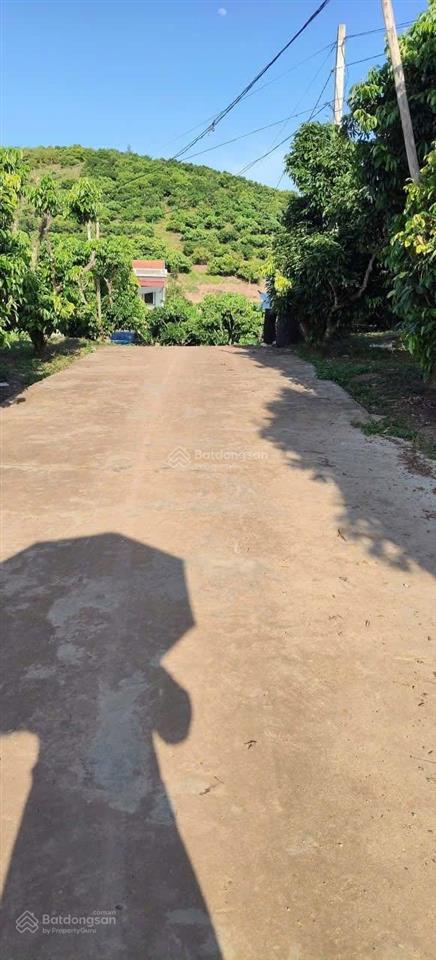 Bán đất lục ngạn  bắc giang, dt 637m x mặt tiền 10.5m, 800 triệu đồng