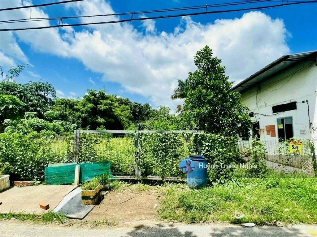 Bán gấp đất shr (dt 5x31m giá 1 tỷ 250) mt đường liêu bình hương ngay chợ việt kiều thị trấn củ chi