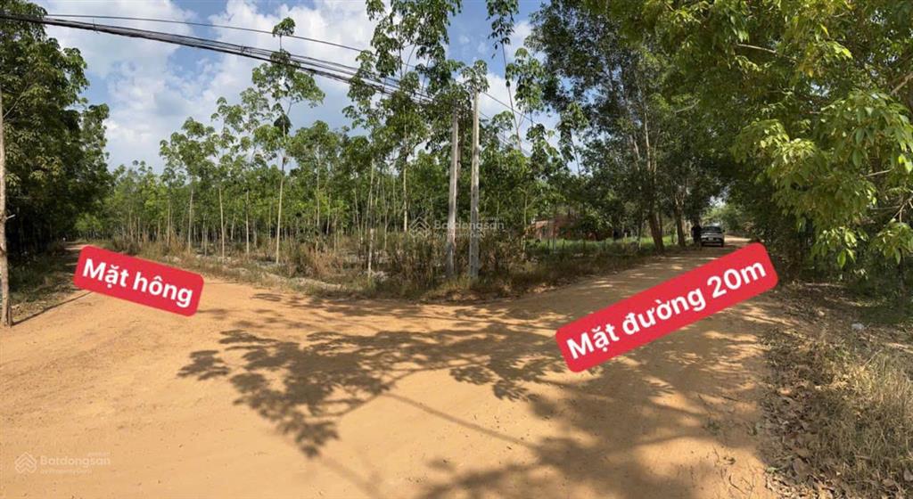 Bán đất vị trí đẹp  lô góc vuông 2 mặt tiền