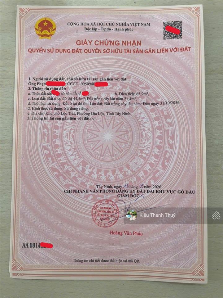 Mặt tiền đường nhựa đ. gia lộc, trảng bàng. 65m2 full thổ giá 500 triệu. sổ hồng riêng bán nhanh