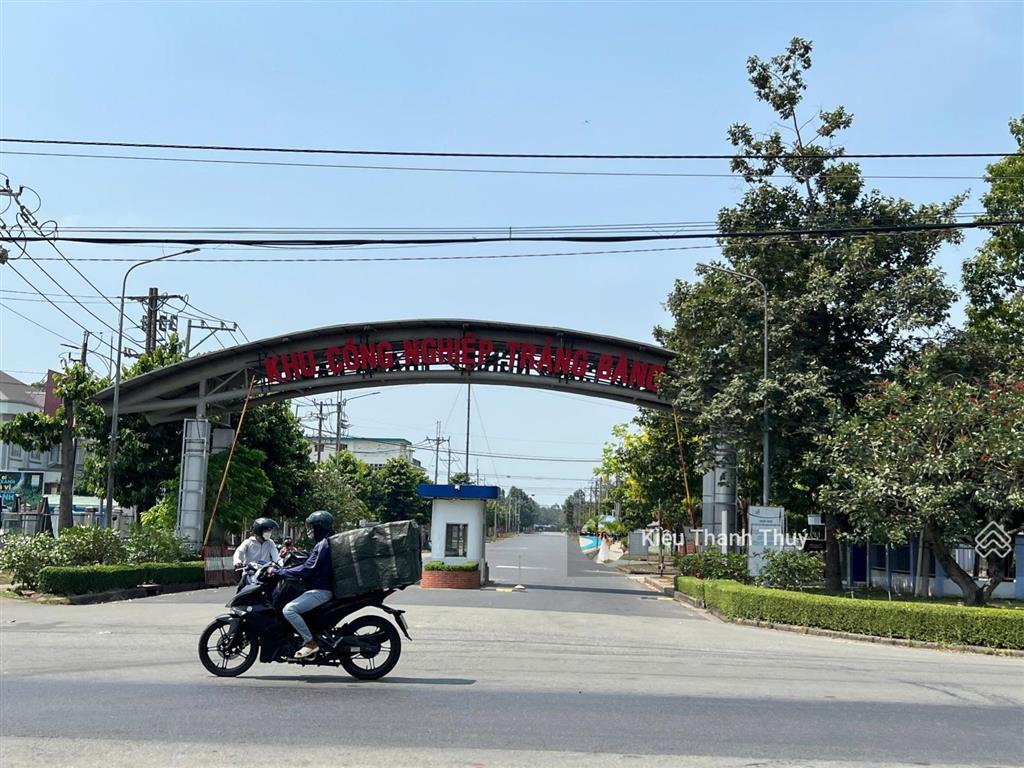 Cần tiền cho con du học bán lô đất 460m2/750tr đường nguyễn trọng cát gần trung tâm trảng bàng, shr