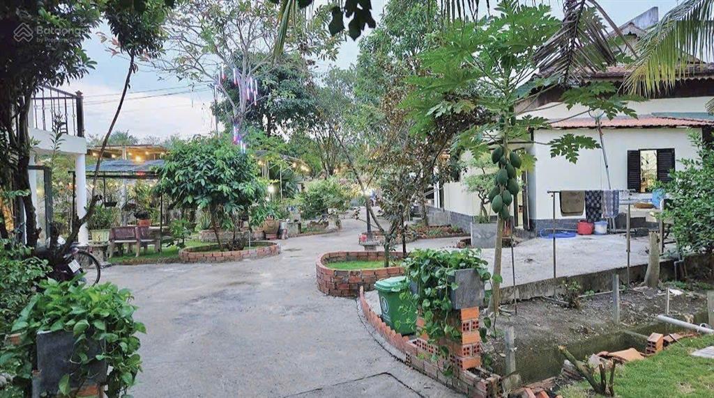 Bán gấp nhà sân vườn 15x37m, 610m2, 2 phòng ngủ, võ văn điều, thái mỹ, chỉ 960 triệu, sổ riêng