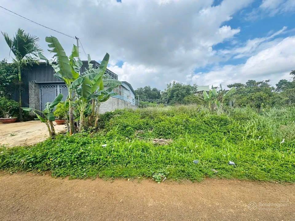Lô đất vuông vức tại kcn tân phú trung, 649m2 (19x33), 900 triệu, sổ riêng