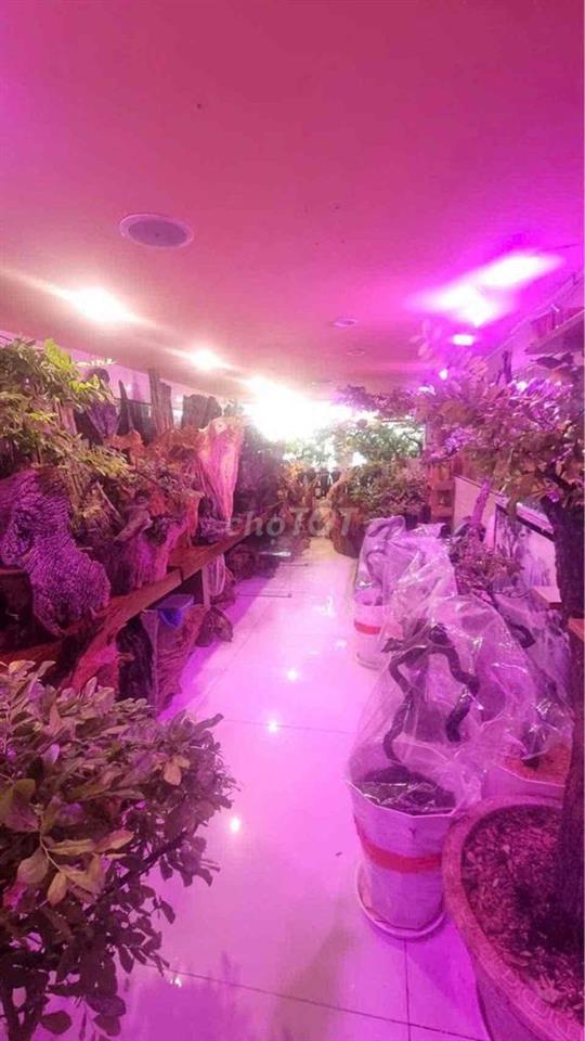 GIẢM SÂU 2 TỶ-CHỦ CẦN BÁN GẤP MẶT TIỀN KINH DOANH PHÚ NHUẬN