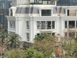 Bán biệt thự thương mại 2 mặt tiền Ciputra, căn góc, thuận ở và kinh doanh, GIÁ TỐT