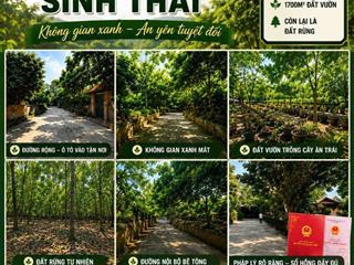 BÁN TRANG TRẠI SINH THÁI 5HA - NƠI CHỮA LÀNH TÂM HỒN tại Thành phố Vĩnh Yên, tỉnh Vĩnh Phúc (cũ)