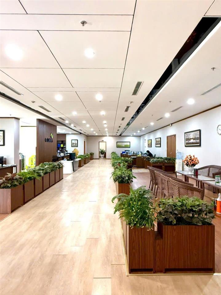Cho thuê mặt bằng thương mại–văn phòng DREAM TOWN (COMA6) Tây Mỗ – giá chỉ từ 13
