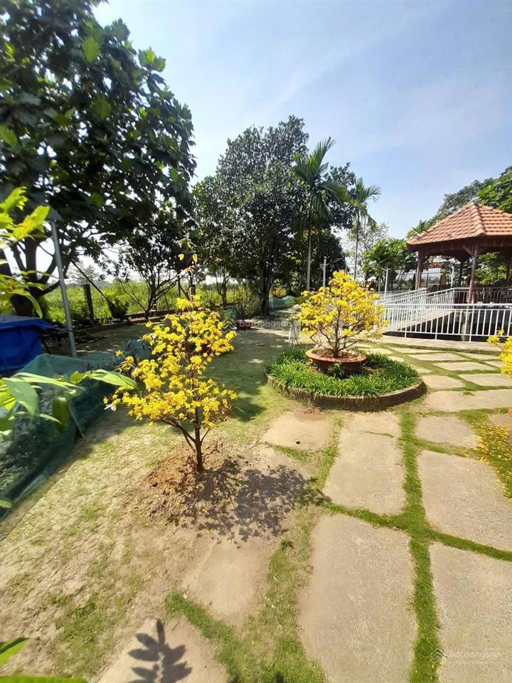Cần bán gấp nhà vườn đã hoàn thiện Bình Lợi, Bình Chánh.