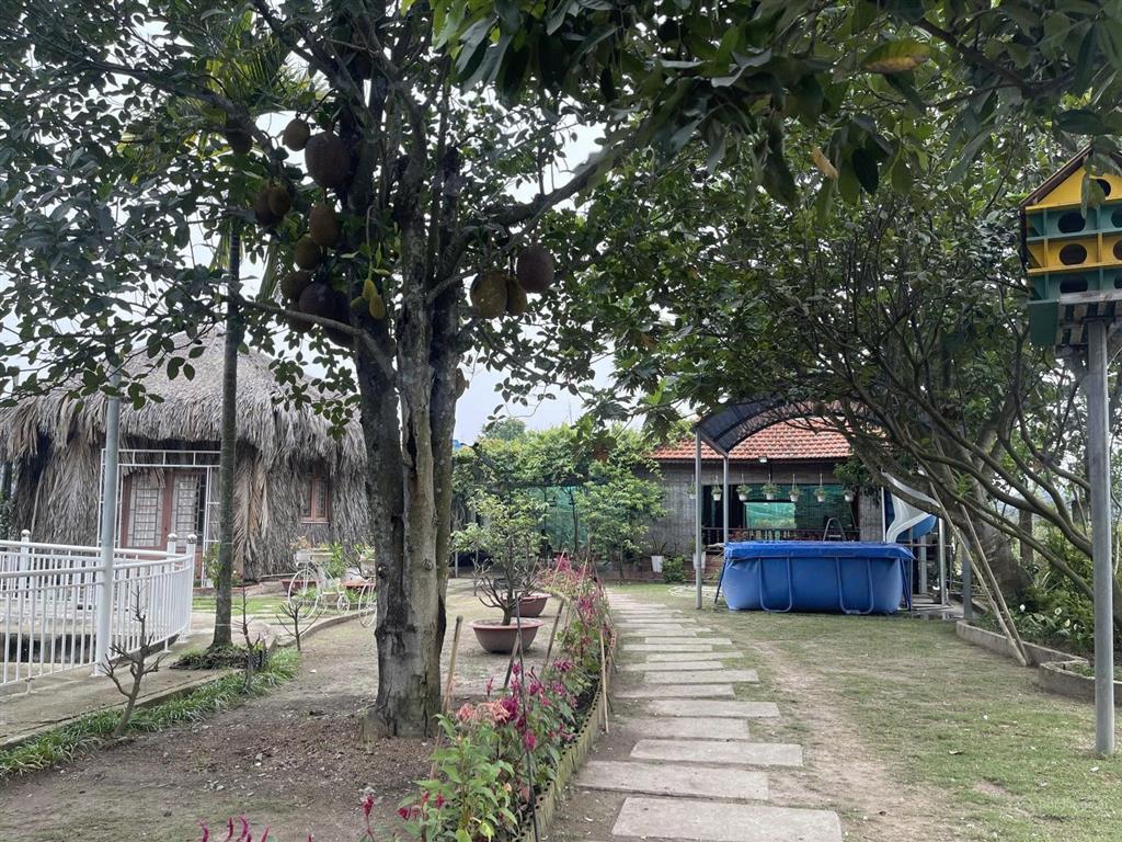 Cần bán gấp nhà vườn đã hoàn thiện Bình Lợi, Bình Chánh.