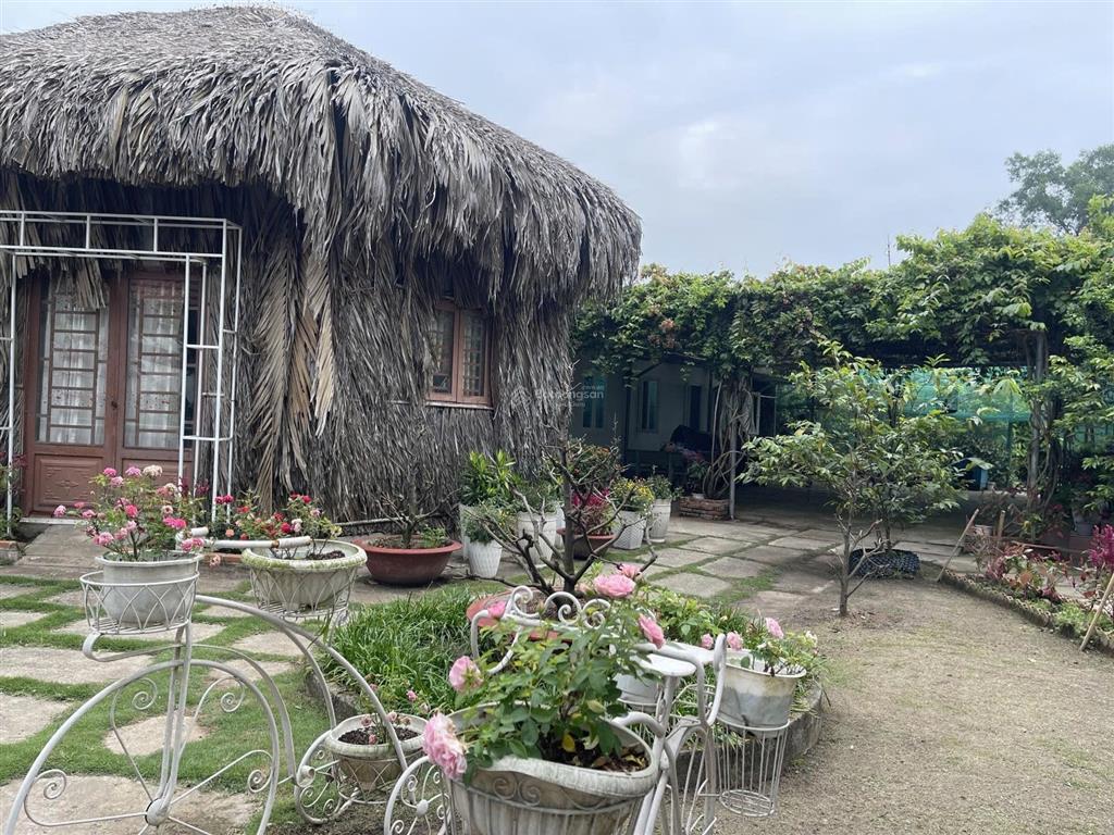 Cần bán gấp nhà vườn đã hoàn thiện Bình Lợi, Bình Chánh.