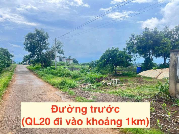 Đất Lộc An – 112,3m² – Gần 105m² Đất Ở – Đường 5m – 439 Triệu