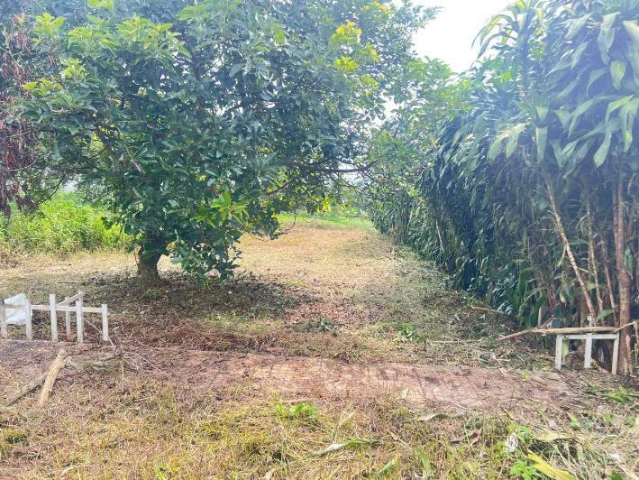 Đất Lộc An – 112,3m² – Gần 105m² Đất Ở – Đường 5m – 439 Triệu