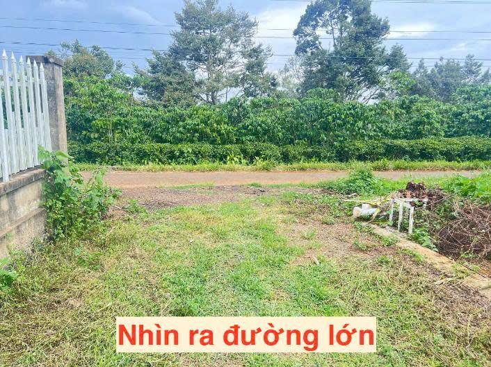 Đất Lộc An – 112,3m² – Gần 105m² Đất Ở – Đường 5m – 439 Triệu