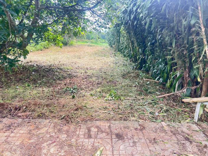Đất Lộc An – 112,3m² – Gần 105m² Đất Ở – Đường 5m – 439 Triệu