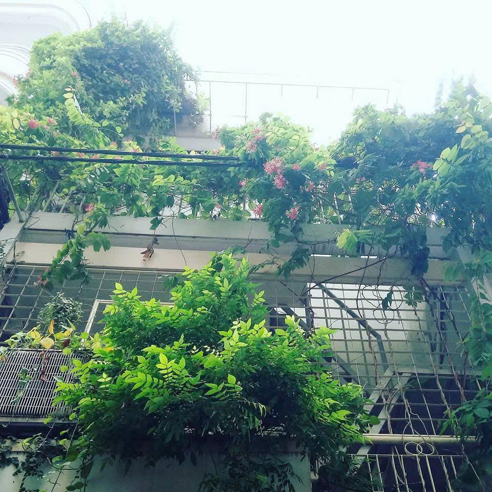CHO THUÊ NHÀ NGUYÊN CĂN - NGUYỄN ĐÌNH CHIỂU, QUẬN 3