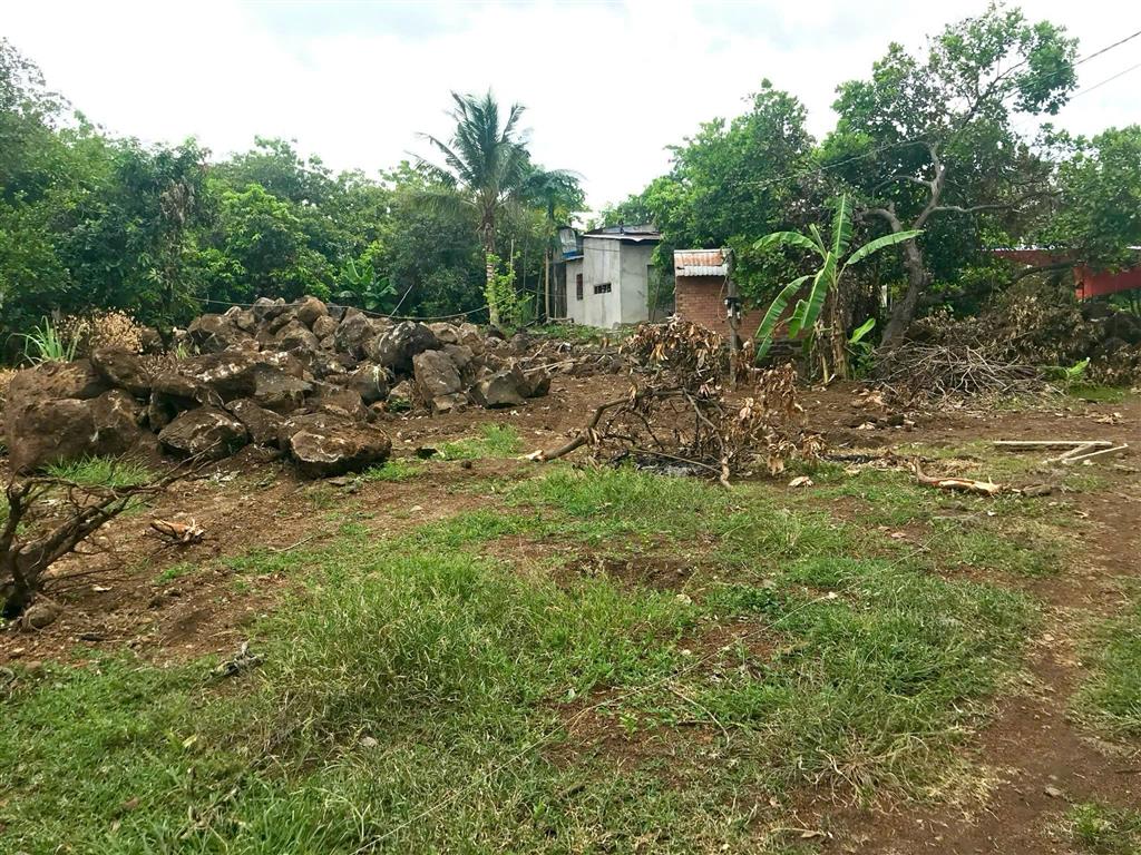 CHÍNH CHỦ BÁN GẤP ĐẤT TRỒNG CÂY LÂU NĂM 1.000M² TẠI ĐỊNH QUÁN, ĐỒNG NAI – GIÁ CHỈ 650