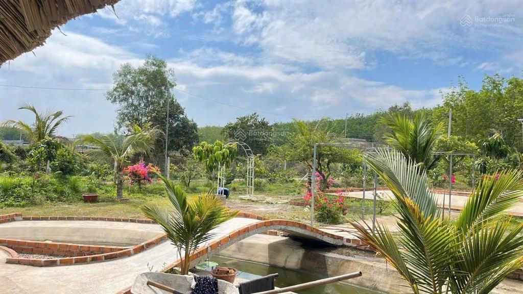 BÁN 5.000M² ĐẤT LONG NGUYÊN – BÀU BÀNG  GIÁ CHỈ 3 TRIỆU/M²