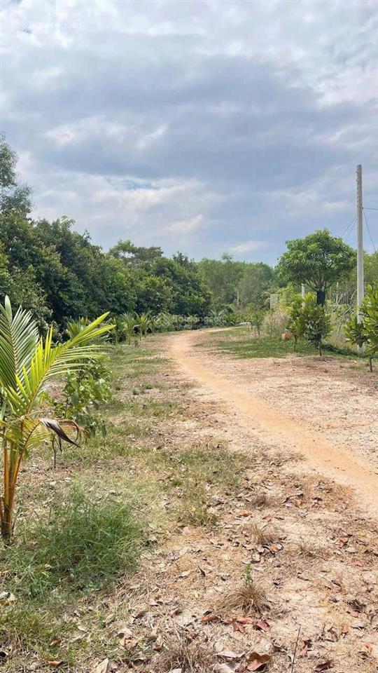 BÁN 5.000M² ĐẤT LONG NGUYÊN – BÀU BÀNG  GIÁ CHỈ 3 TRIỆU/M²