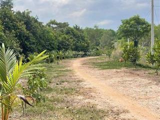 BÁN 5.000M² ĐẤT LONG NGUYÊN – BÀU BÀNG  GIÁ CHỈ 3 TRIỆU/M²