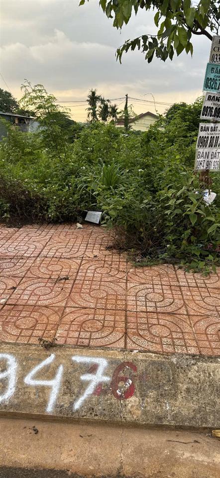 CHÍNH CHỦ BÁN ĐẤT KHU LÊ VỤ – PHƯỜNG TÂN LẬP, BUÔN MA THUỘT