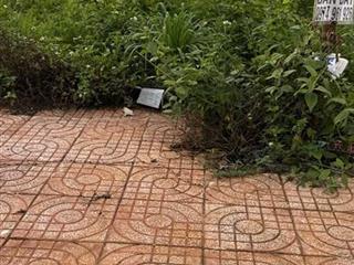 CHÍNH CHỦ BÁN ĐẤT KHU LÊ VỤ – PHƯỜNG TÂN LẬP, BUÔN MA THUỘT