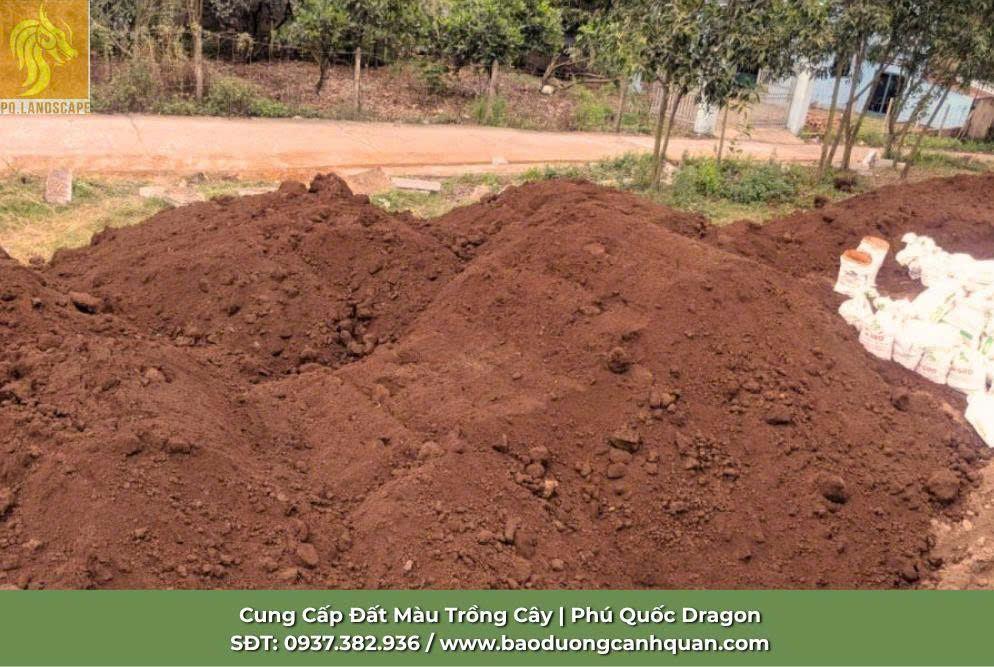 PHÚ QUỐC DRAGON ĐƠN VỊ CHUYÊN CUNG CẤP ĐẤT MÀU DINH DƯỠNG TRỒNG CÂY TẠI ĐỒNG NAI