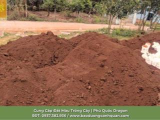 PHÚ QUỐC DRAGON ĐƠN VỊ CHUYÊN CUNG CẤP ĐẤT MÀU DINH DƯỠNG TRỒNG CÂY TẠI ĐỒNG NAI