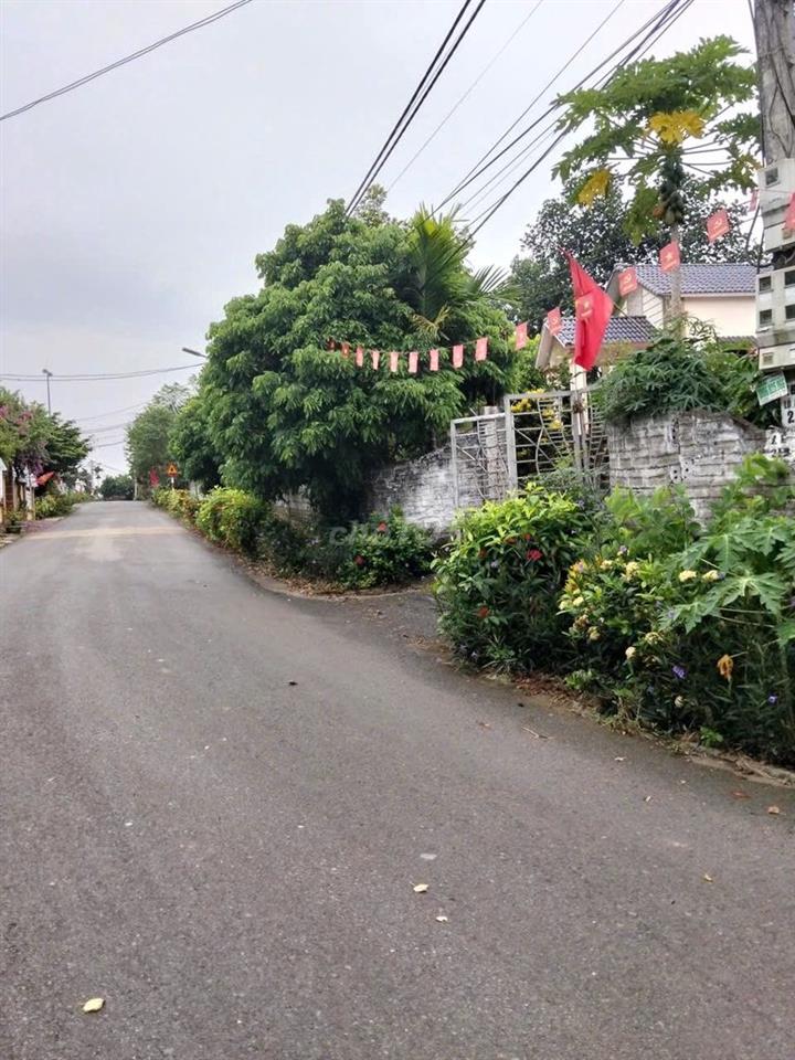 CHÍNH CHỦ CẦN BÁN ĐẤT BA VÌ
