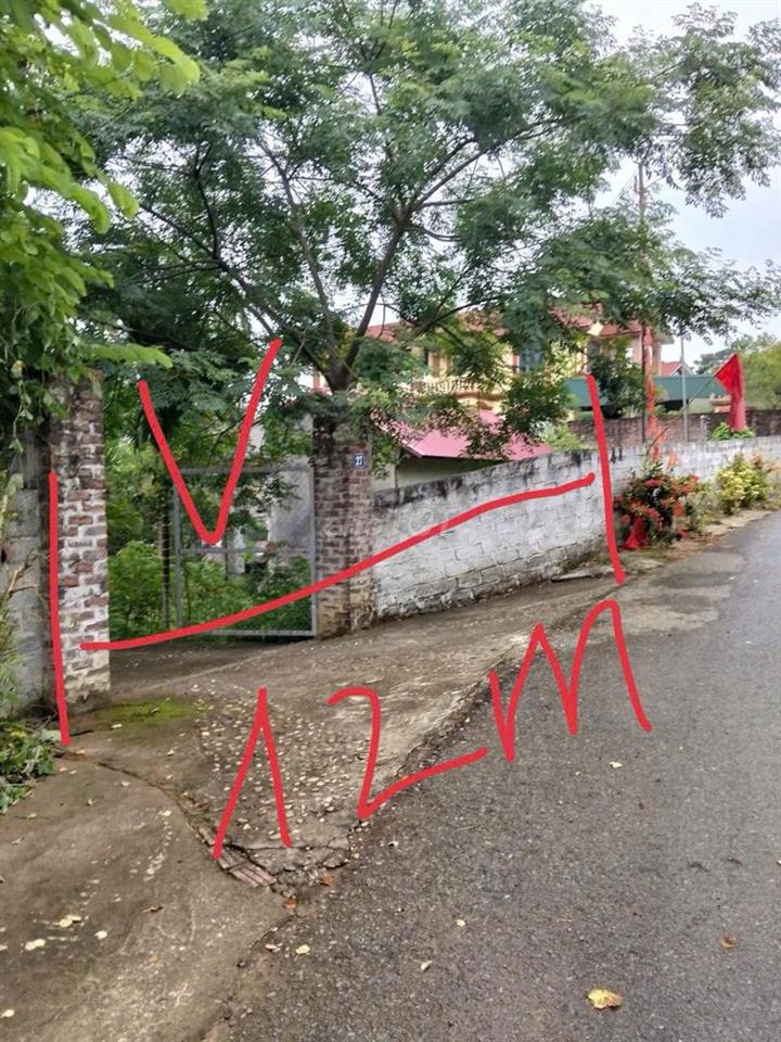 CHÍNH CHỦ CẦN BÁN ĐẤT BA VÌ