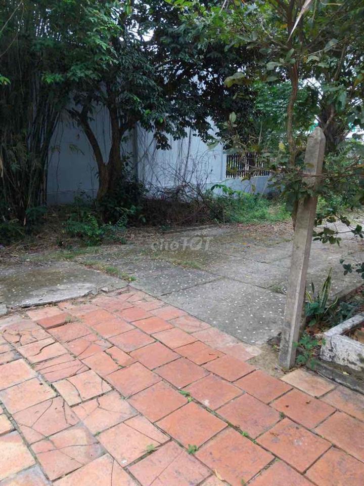 🔥 MẶT TIỀN NGUYỄN KIM CƯƠNG – HƠN 1.000M² – CHỈ 3,7 TỶ 🔥