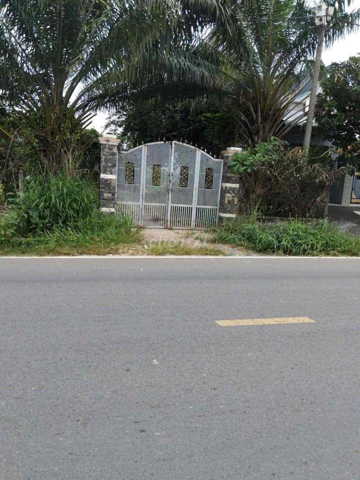 🔥 MẶT TIỀN NGUYỄN KIM CƯƠNG – HƠN 1.000M² – CHỈ 3,7 TỶ 🔥
