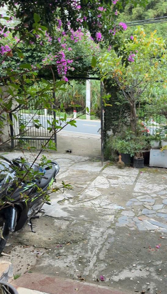 CHO THUÊ MẶT BẰNG KINH DOANH TẠI TRUNG TÂM ĐÀ LẠT – CÓ THỂ VÀO Ở NGAY