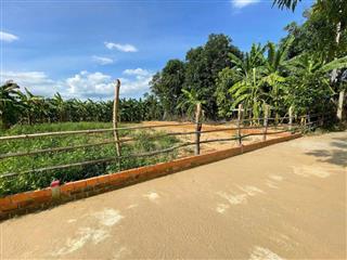 GIA ĐÌNH CÓ VIỆC CẦN TIỀN, BÁN NHANH LÔ 130M2 FULL THỔ CƯ ĐIỆN BÀN TÂY, GIÁ CHỈ 5XX TRIỆU