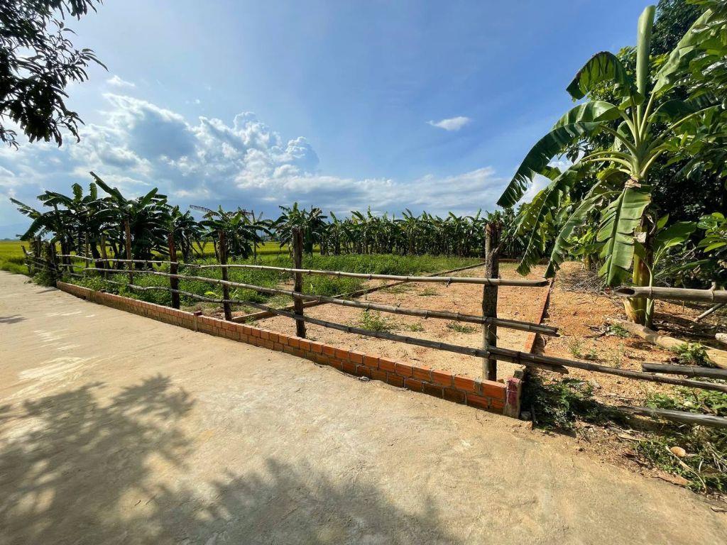 GIA ĐÌNH CÓ VIỆC CẦN TIỀN, BÁN NHANH LÔ 130M2 FULL THỔ CƯ ĐIỆN BÀN TÂY, GIÁ CHỈ 5XX TRIỆU